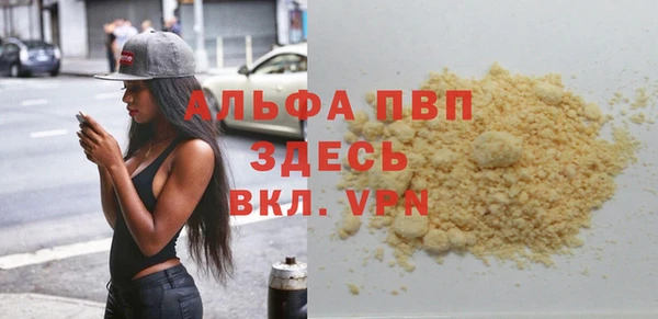 индика Богданович