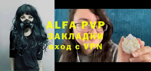 индика Богданович