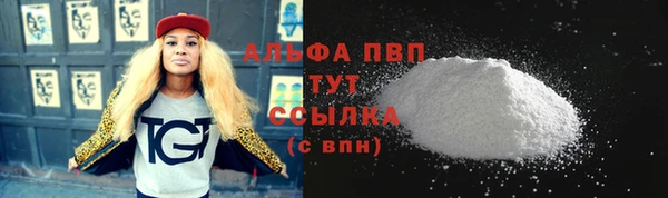 индика Богданович