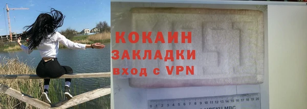 индика Богданович