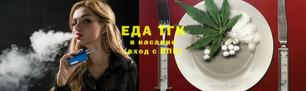 индика Богданович