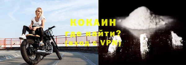 индика Богданович