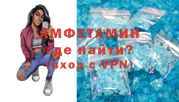 индика Богданович
