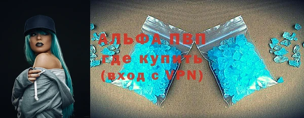 индика Богданович