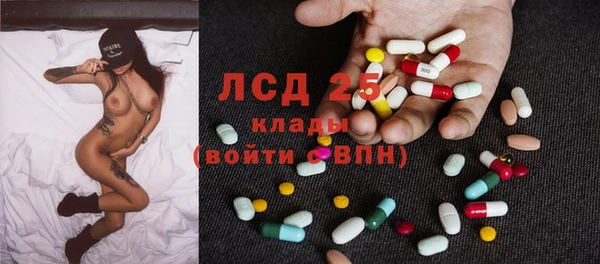 индика Богданович