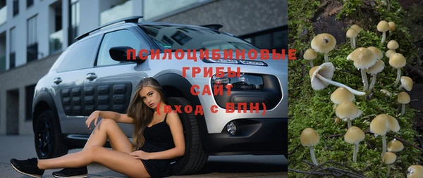 индика Богданович