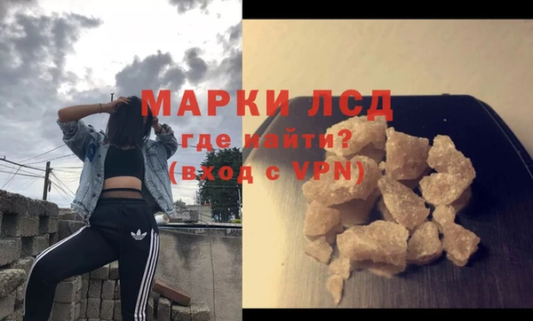 индика Богданович