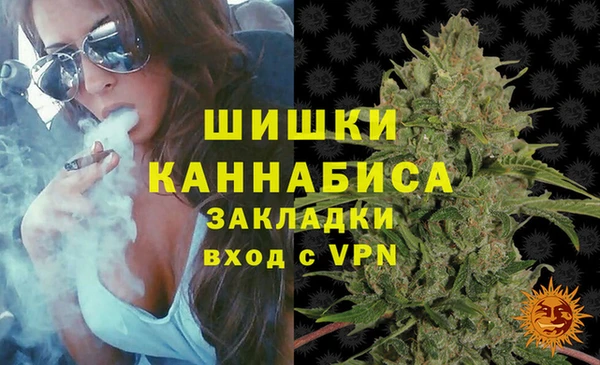 индика Богданович