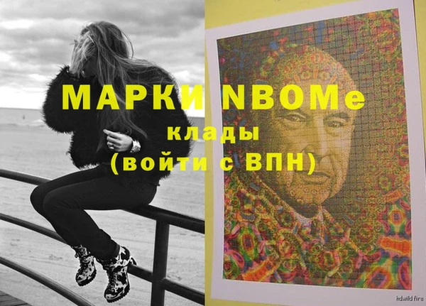 индика Богданович
