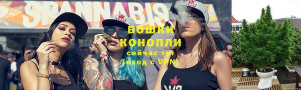 индика Богданович