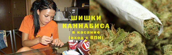индика Богданович