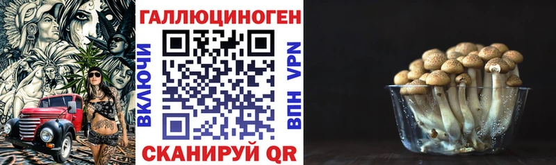 наркошоп Мурманск Псилоцибиновые грибы прущие грибы