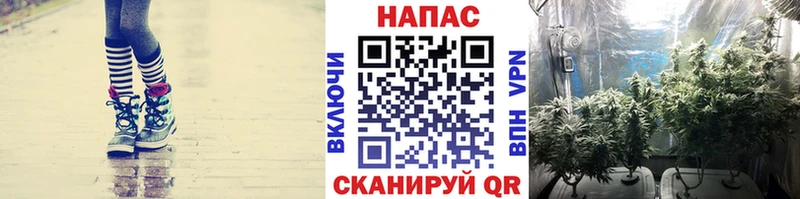 blacksprut ССЫЛКА Мурманск МАРИХУАНА индика